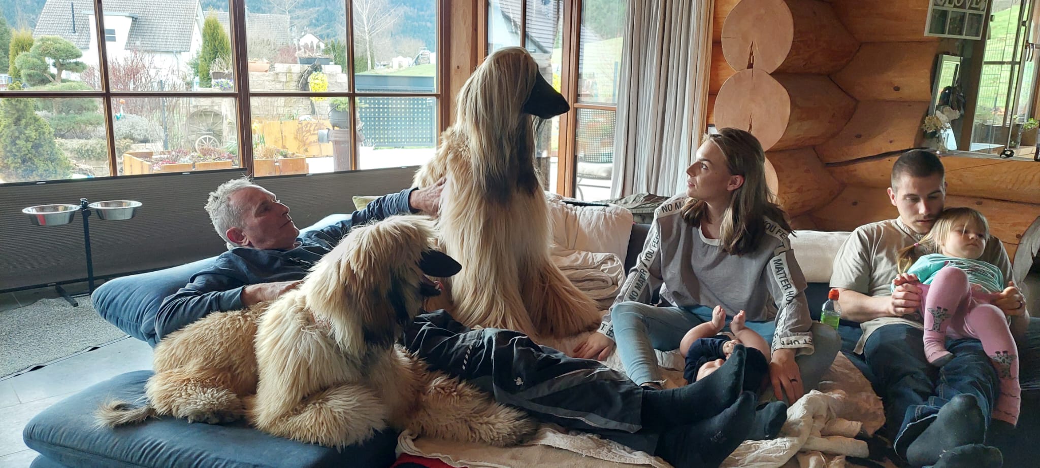 Manchmal ist es Fügung